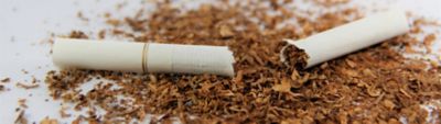 Broken cigarette with loose tobacco scattered