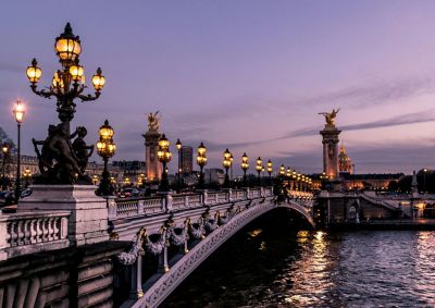 france bridge nicotine pouch ban