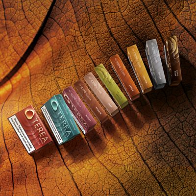 10 Sorten TEREA Tabaksticks auf einem Tabakblatt aufgereiht