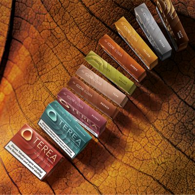 Alle TEREA Sorten auf einem strukturierten Tabakblatt Hintergrund