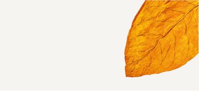 Descubre sabores TEREA