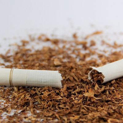 Eine zebrochene Zigarette liegt auf Tabak