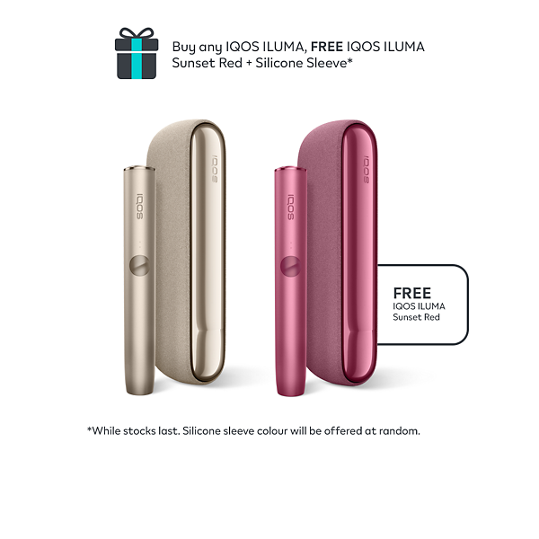IQOS ILUMA Pebble Beige