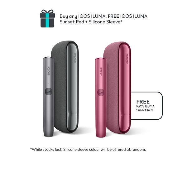 IQOS ILUMA Pebble Grey