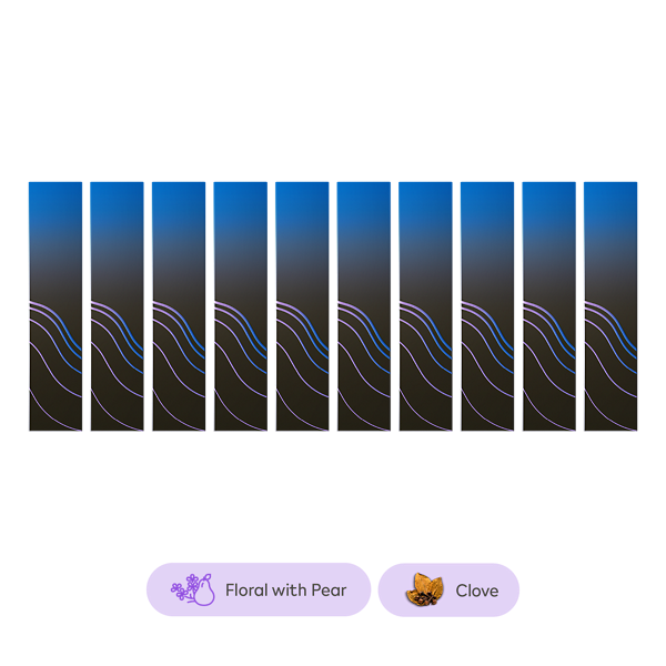 TEREA BERRINE EDITION BUNDLE (10)  