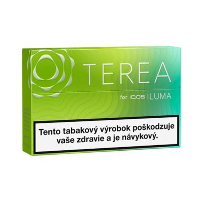 TEREA WILLOW (krabička) (WILLOW)