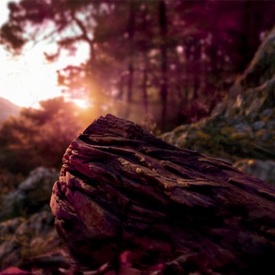 Krabička TEREA Russet na pozadí krajiny při západu slunce