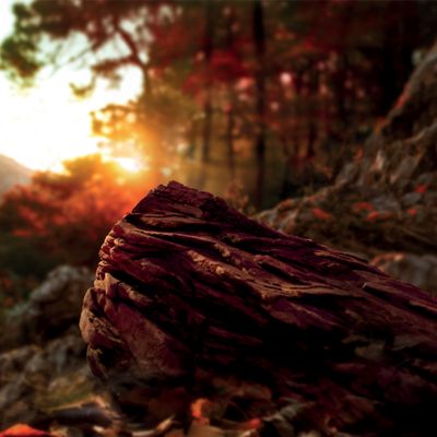 Krabička TEREA Sienna na pozadí krajiny při západu slunce