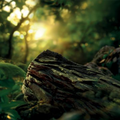 Krabička TEREA Soft Fuse na pozadí krajiny při západu slunce