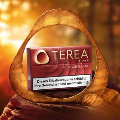 IQOS TEREA Sienna Packung