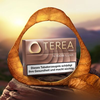 IQOS TEREA Teak Packung