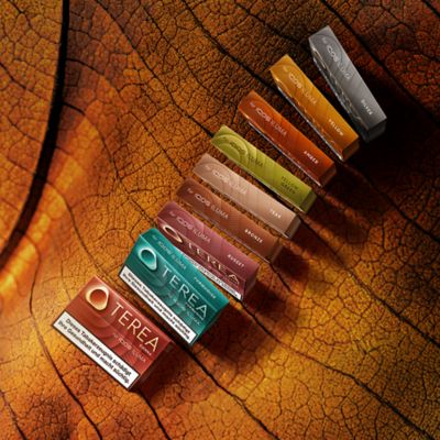 9 Sorten TEREA Tabaksticks auf einem Tabakblatt aufgereiht